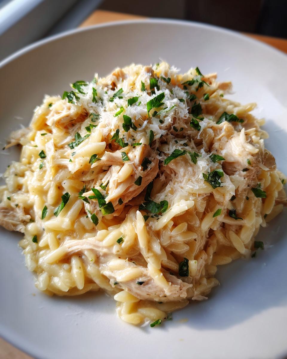 Creamy Chicken Orzo Dinner - detail 1