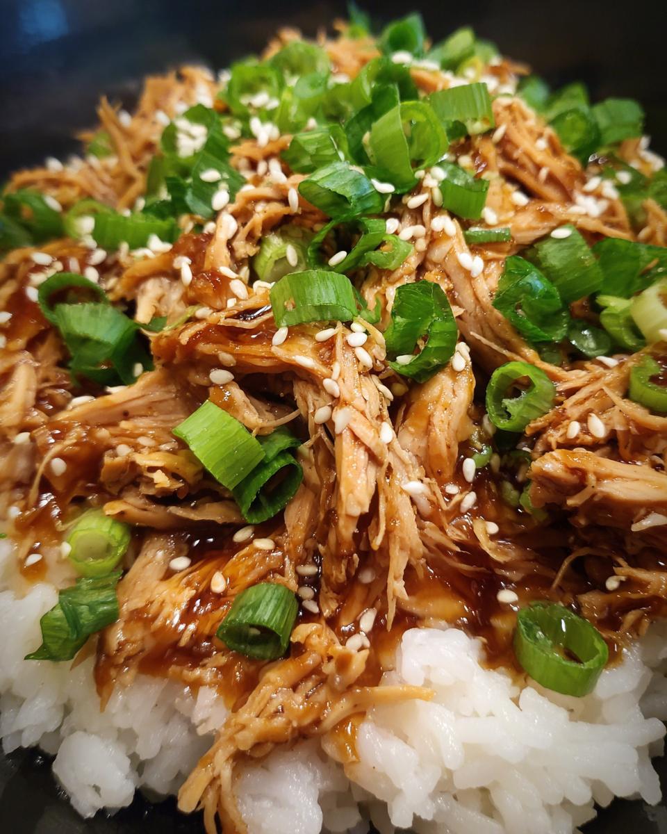 Dump & Go Crockpot Teriyaki Chicken - detail 1