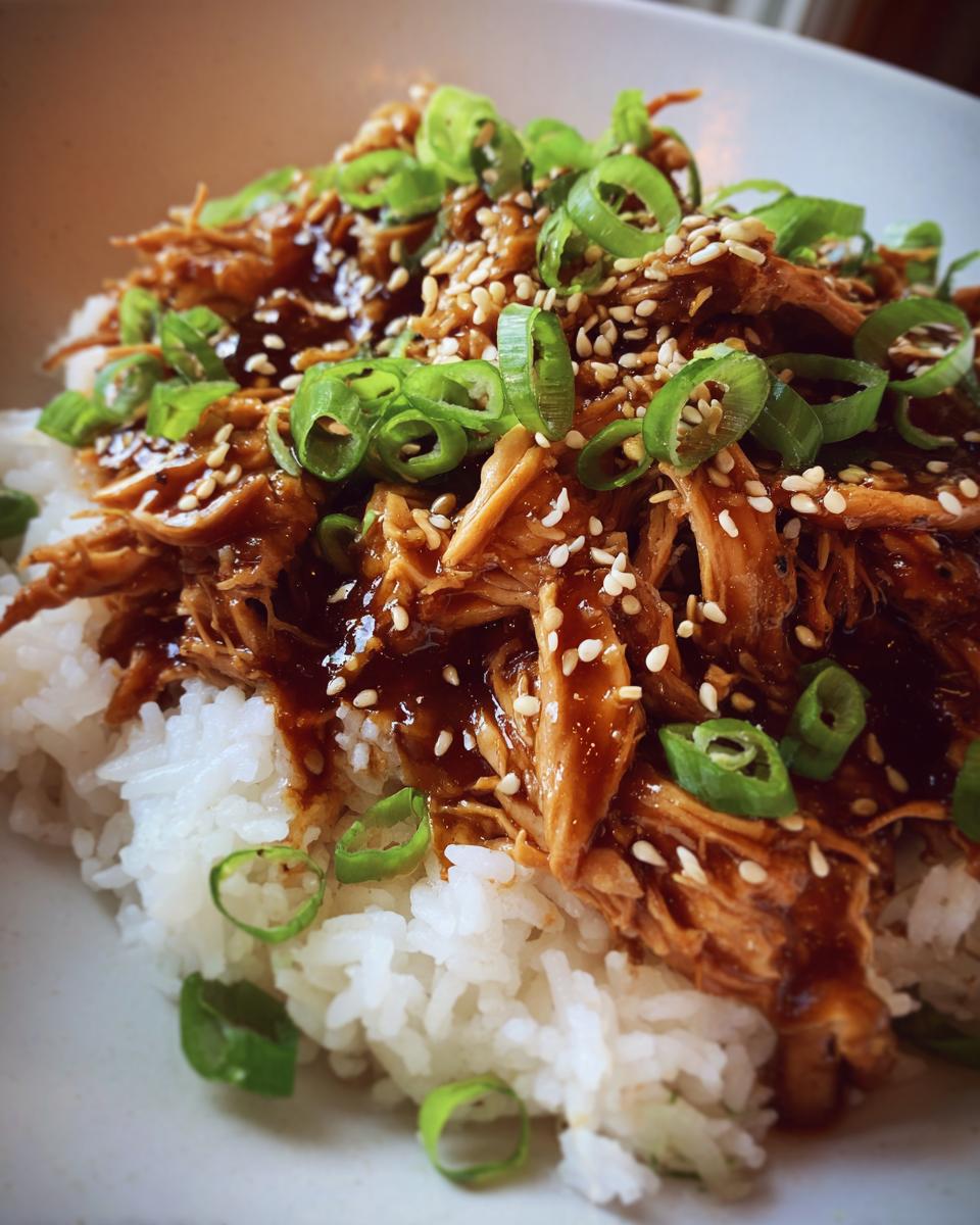 Dump & Go Crockpot Teriyaki Chicken - detail 2